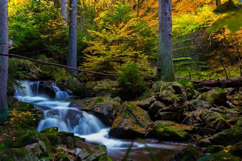 background stock photos|400,000+ Best Free Background Images & Pictures [HD] .